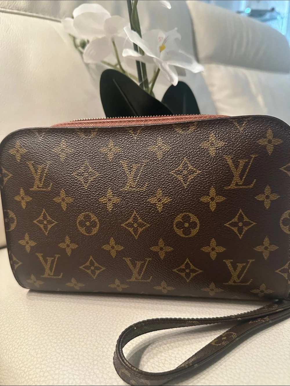 Louis Vuitton Monogram Canvas Wristlet in Brown and Gold